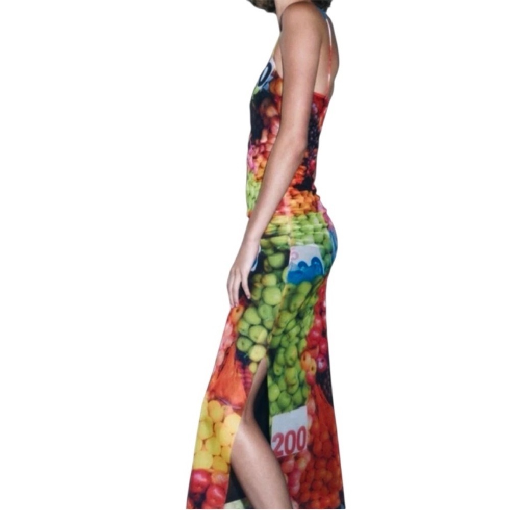 NWT Zara Fruit Stand Mesh Midi /Maxi
Dress Size Small - Picture 3 of 12